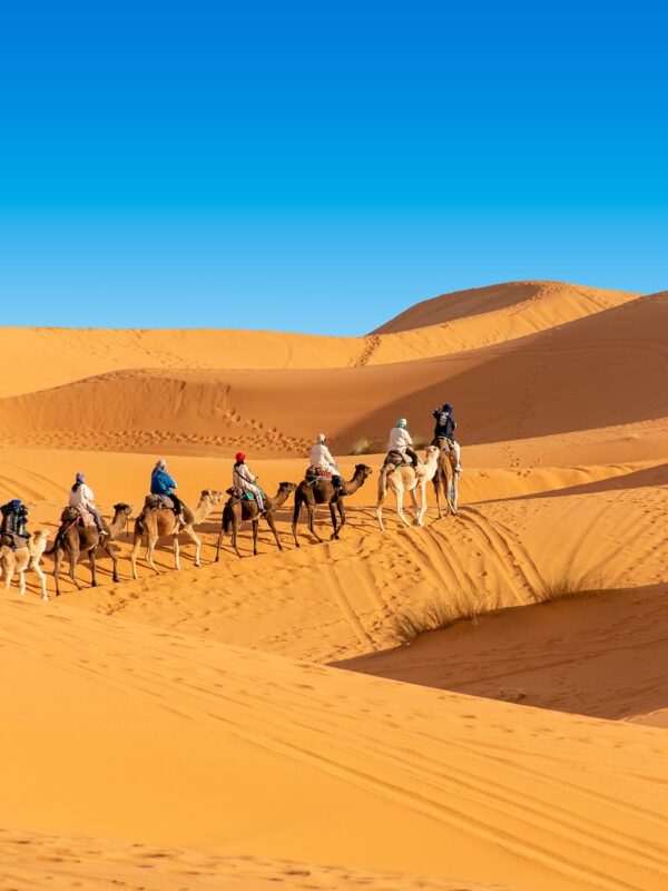 15 days Grand Morocco tour from Casablanca