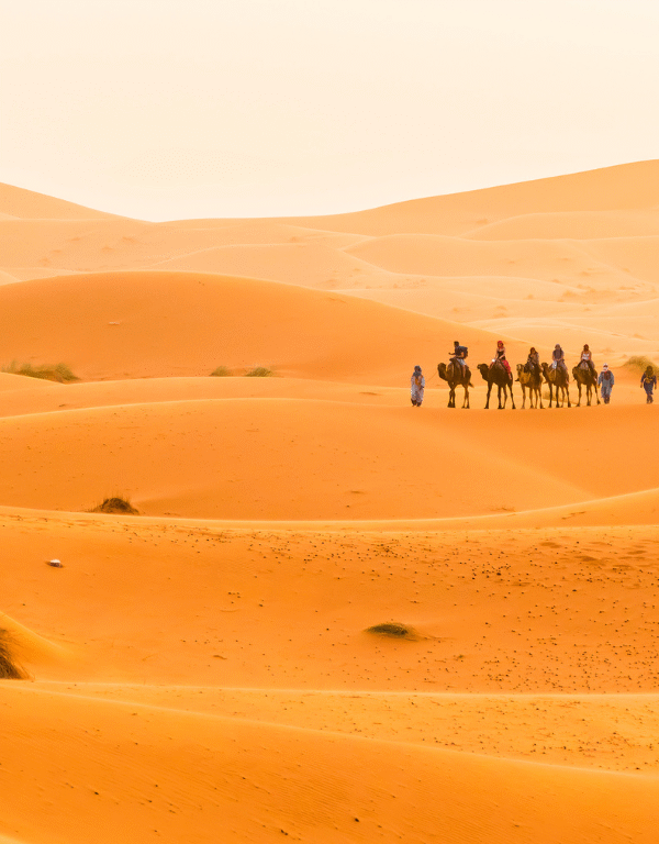 4 days desert tour from Marrakech to Fes