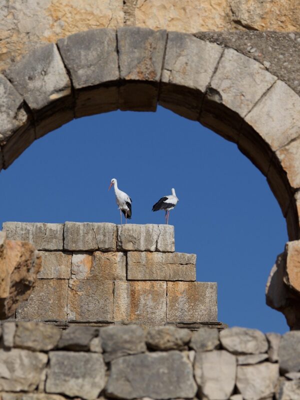 10 days Grand tour from fes to tangier