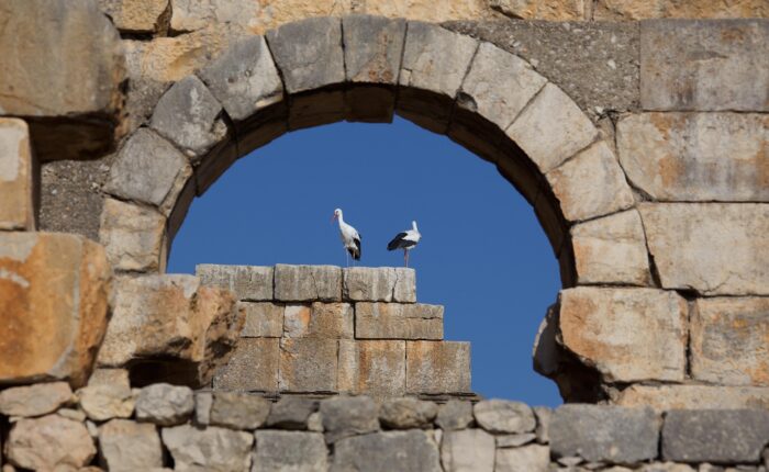 10 days Grand tour from fes to tangier